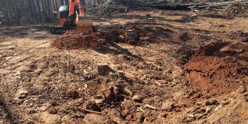 Land Clearing, Forestry Mulching, Land Grading